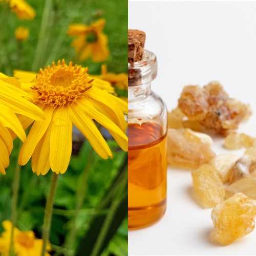 Arnica and Frankincense - Arnica Boss ingredients